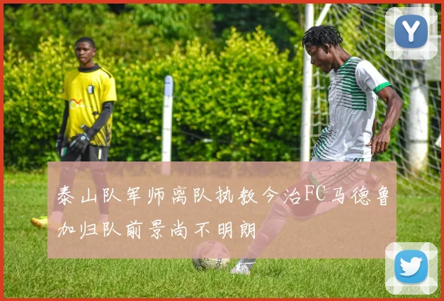 泰山队军师离队执教今治FC马德鲁加归队前景尚不明朗