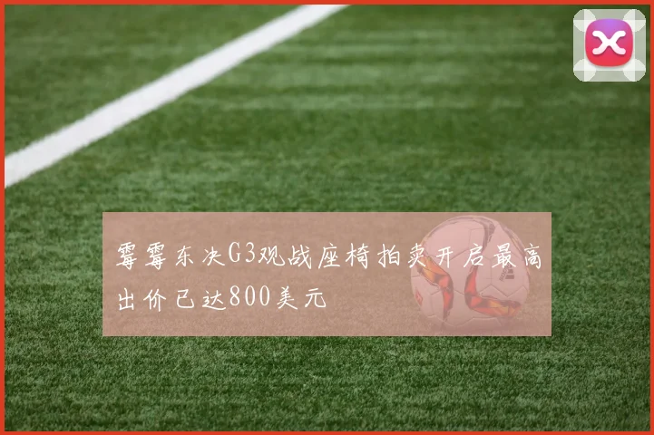 霉霉东决G3观战座椅拍卖开启最高出价已达800美元
